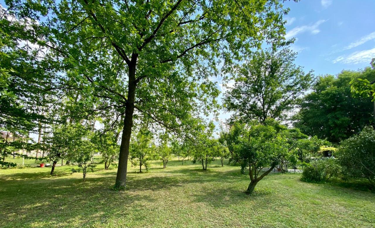 Locanda Del Molino Vecchio Magliano Alfieri 外观 照片